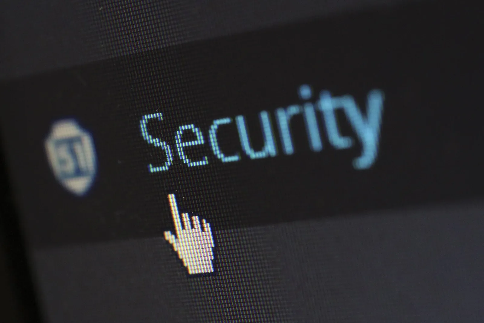 Website security and web hosting
