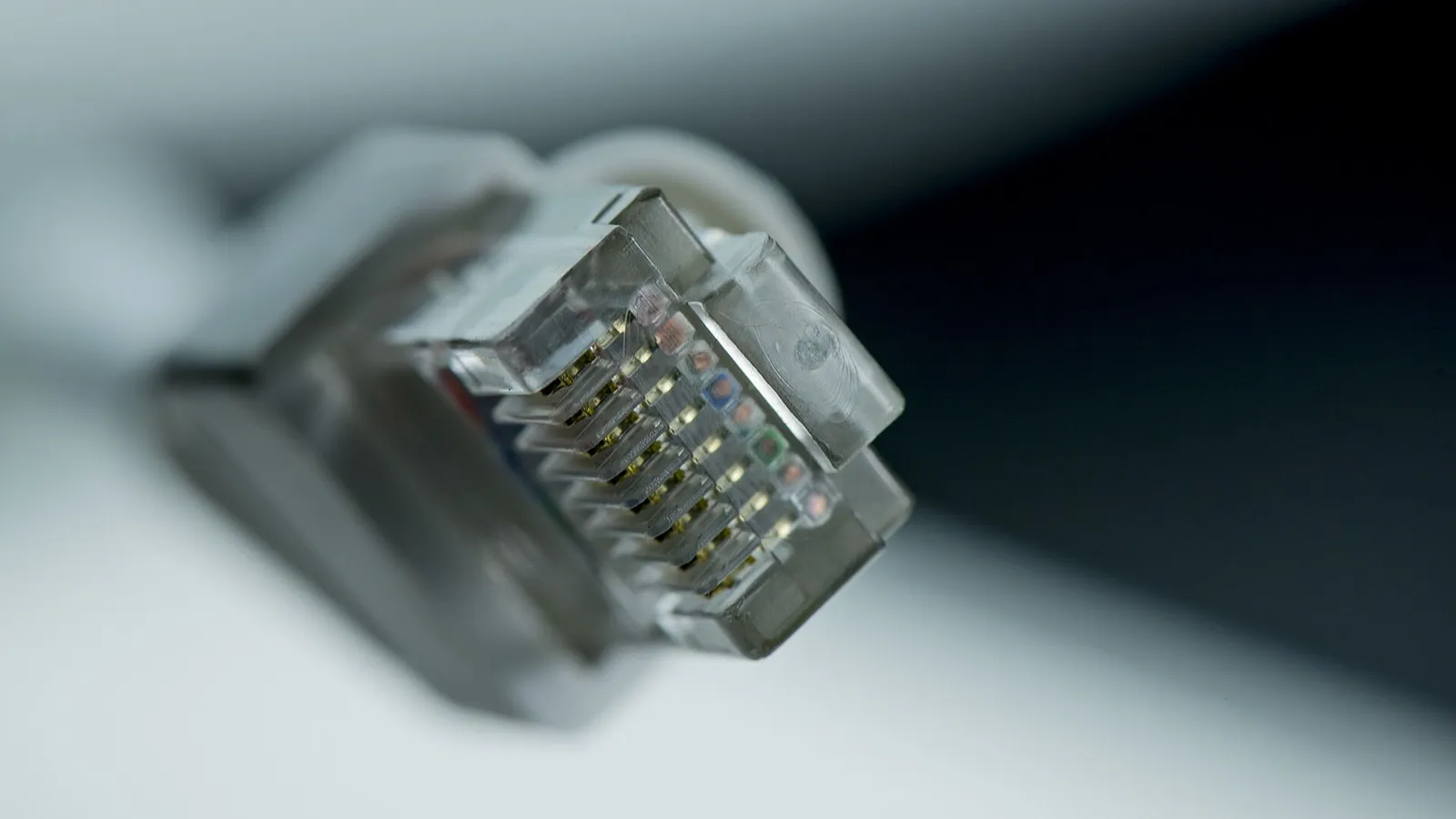 Technical support and hosting availability