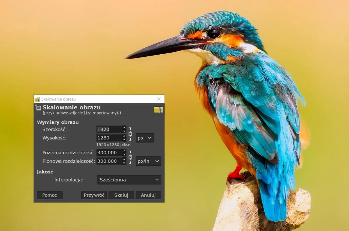 example of image scaling in GIMP