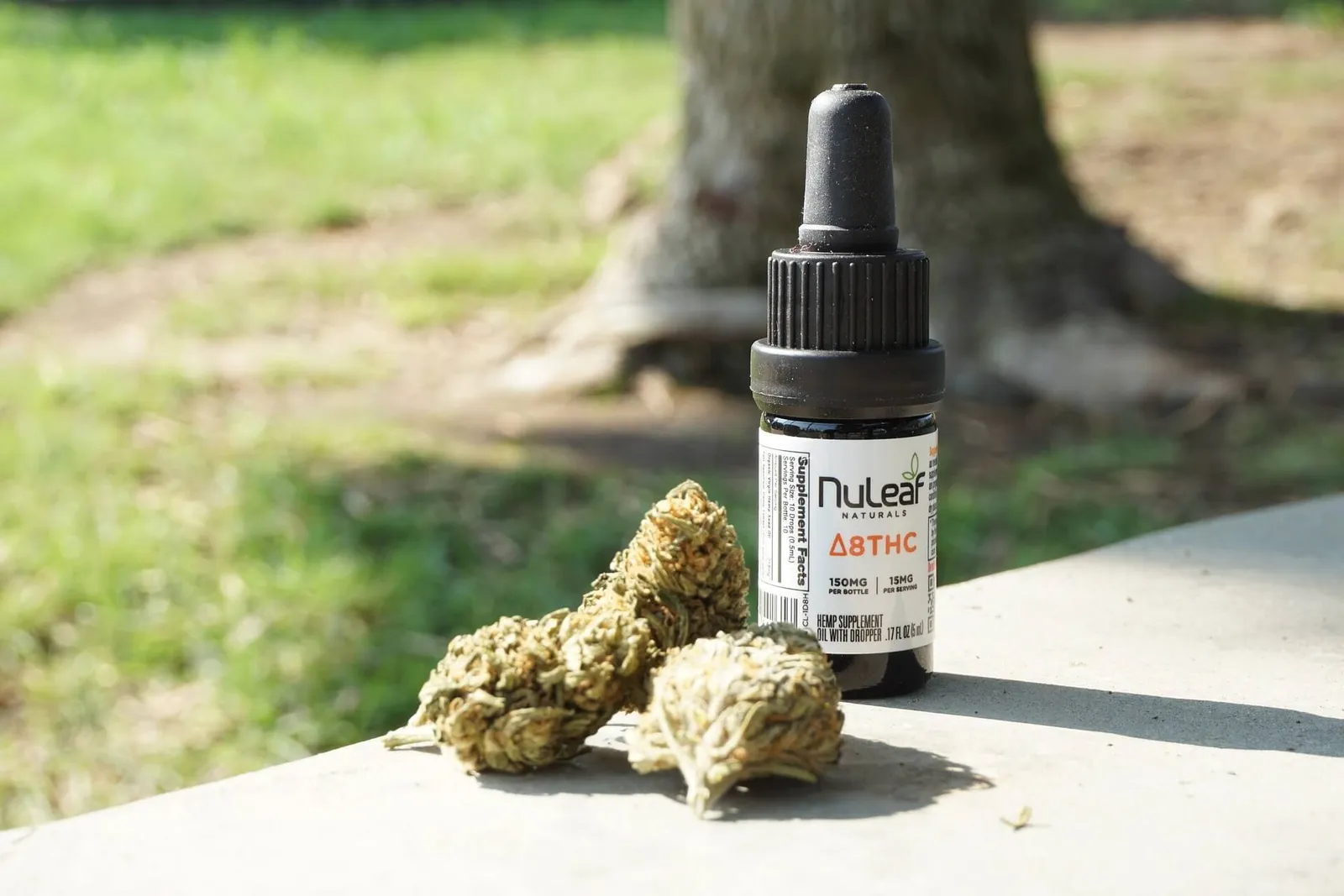 Bottle of CBD oil with a dropper beside dried hemp flowers