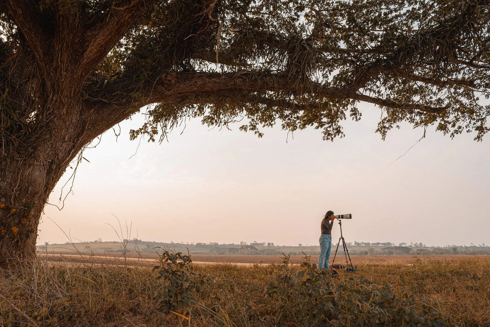 landscape photographer