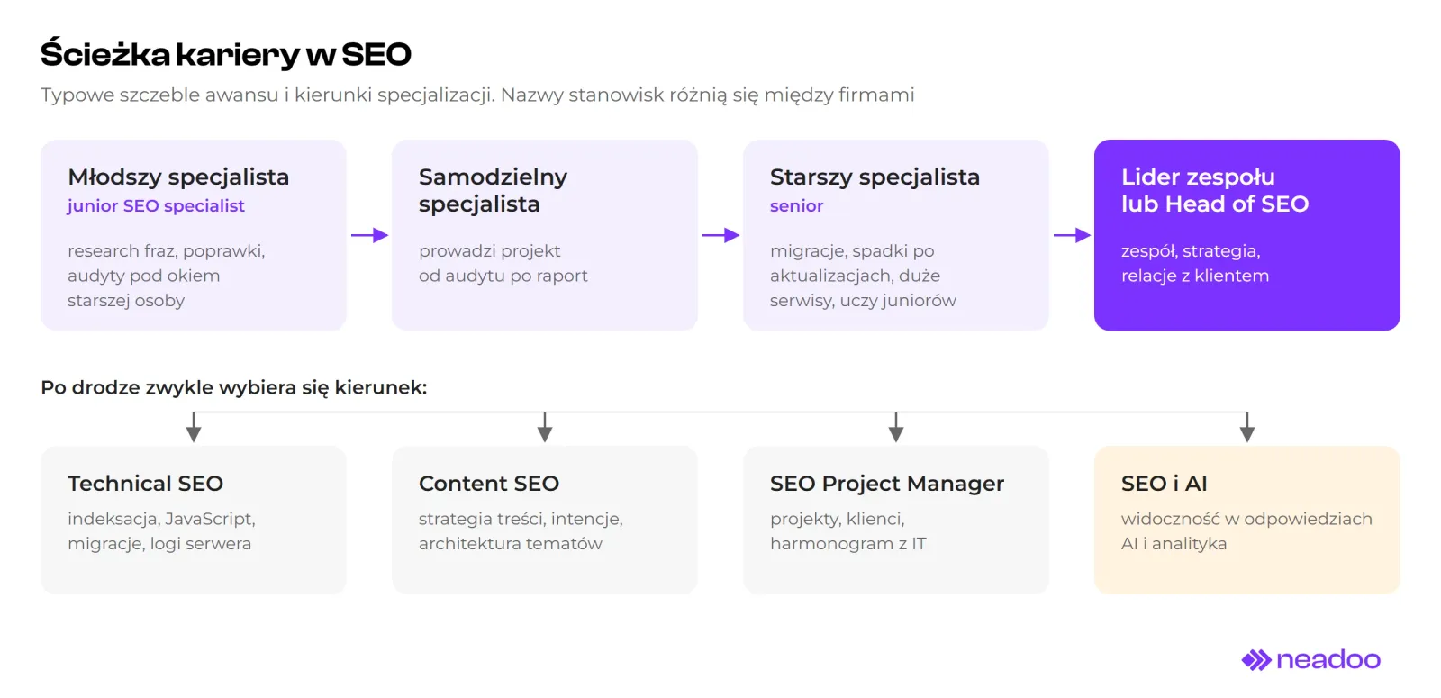 SEO career path diagram. Top row with arrows: Junior SEO Specialist, Mid-level Specialist, Senior Specialist, Team Lead or Head of SEO. Bottom row, specialization paths: Technical SEO, Content SEO, SEO Project Manager, and SEO with AI